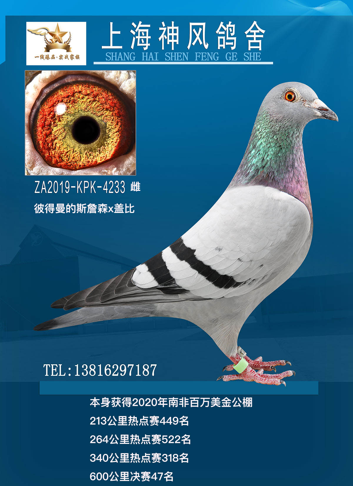 2020Ϸǰf47