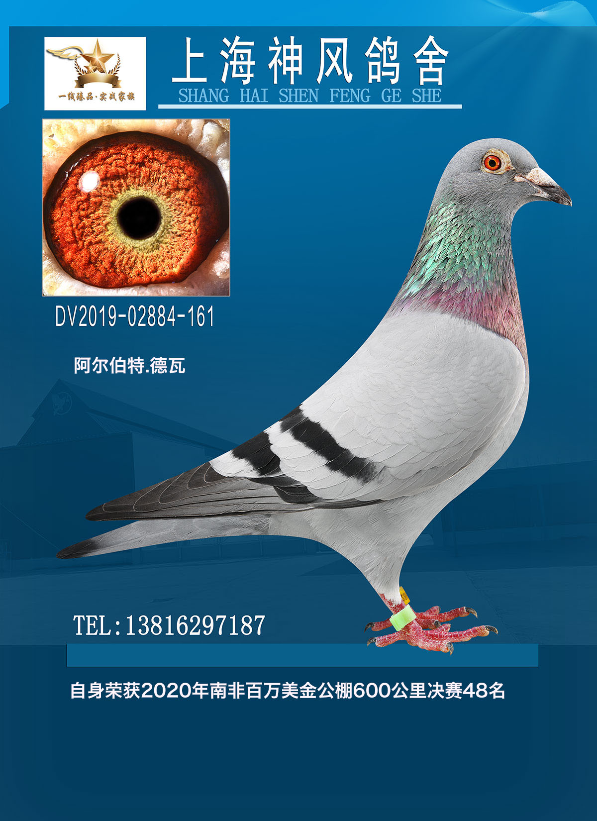 2020Ϸǰf48