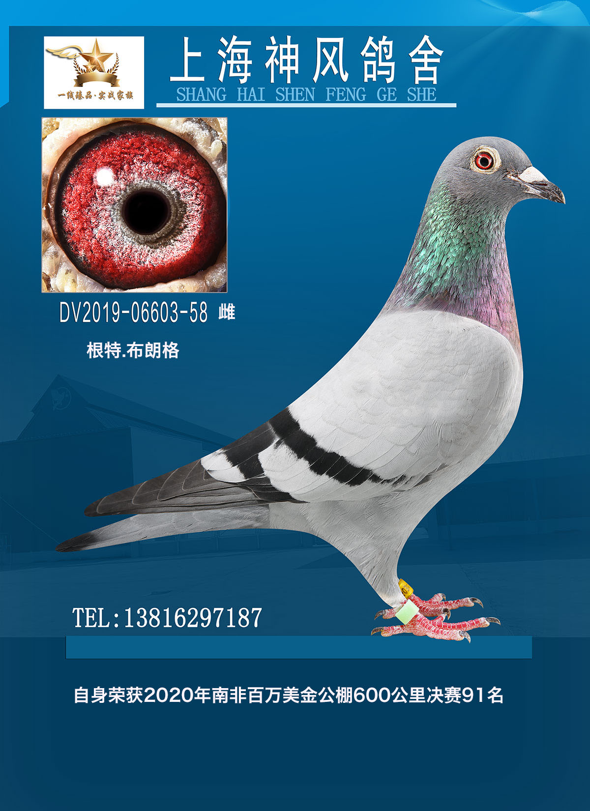 2020Ϸǰf(wn)91
