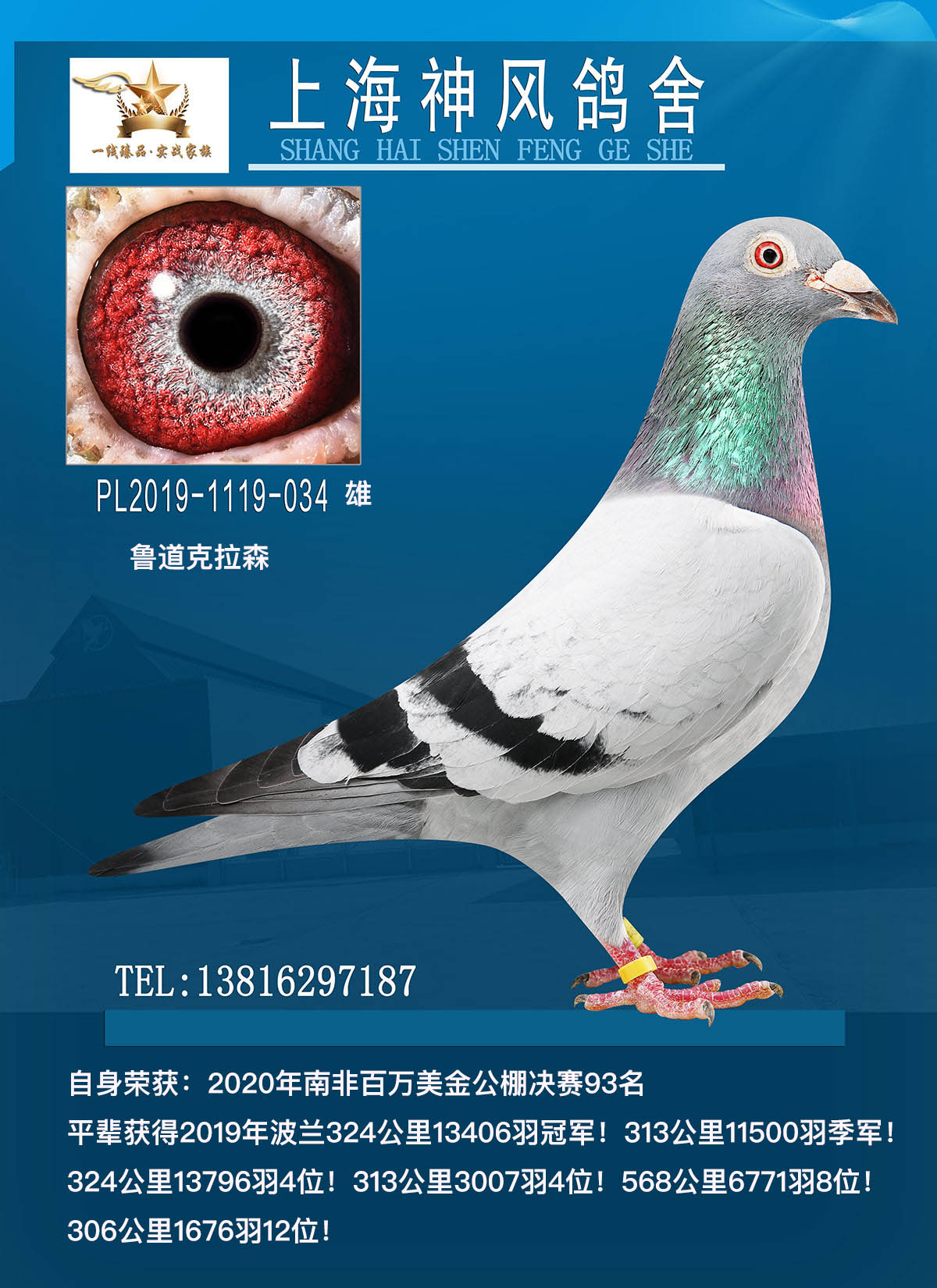 2020Ϸǰf93