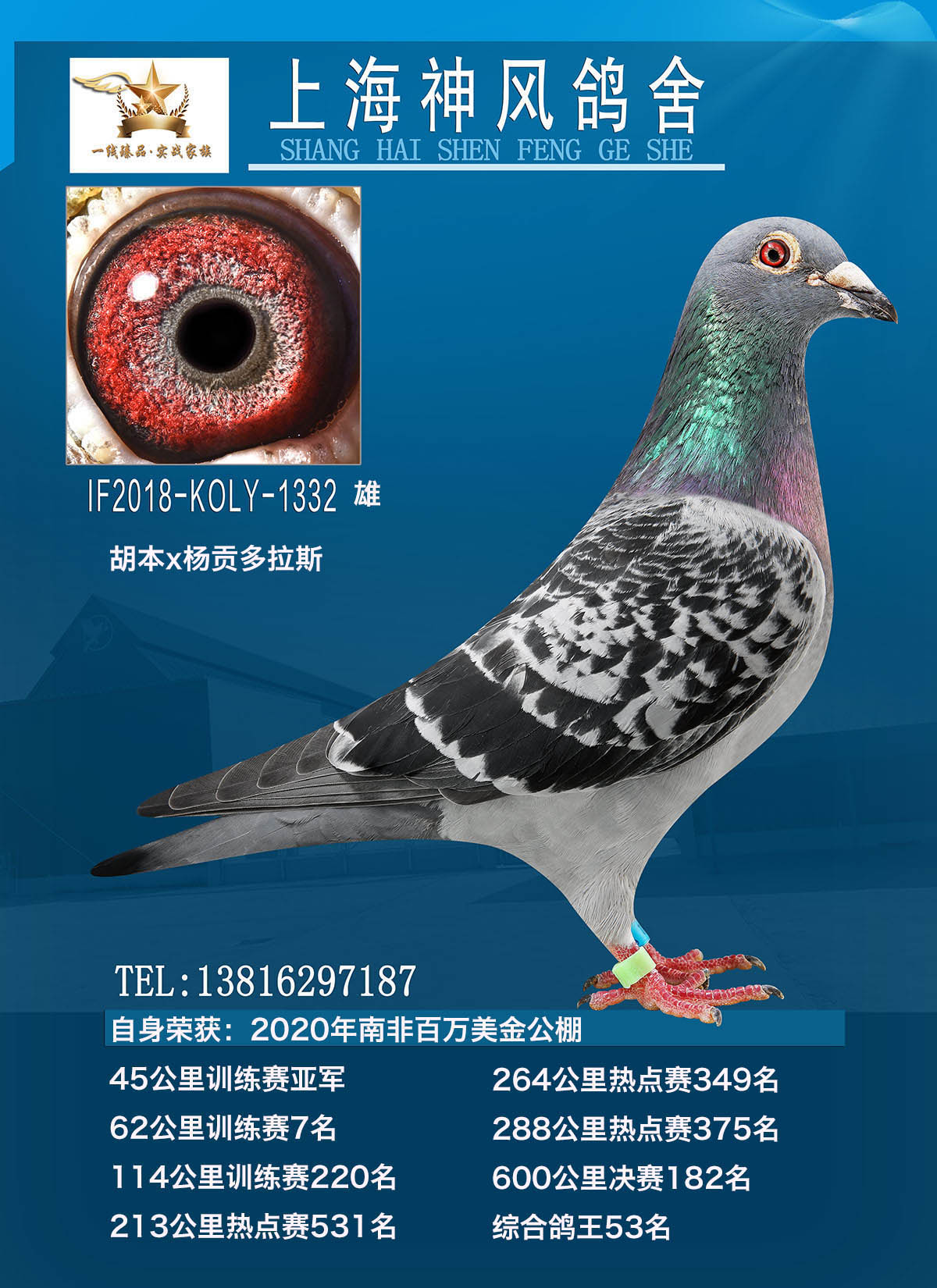 2020Ϸǰf182