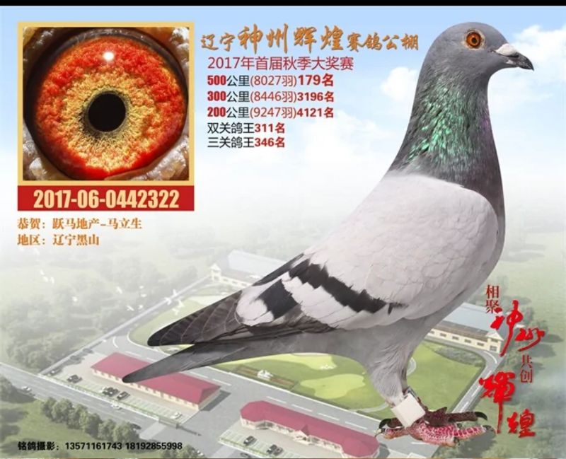 x͛Qِ179