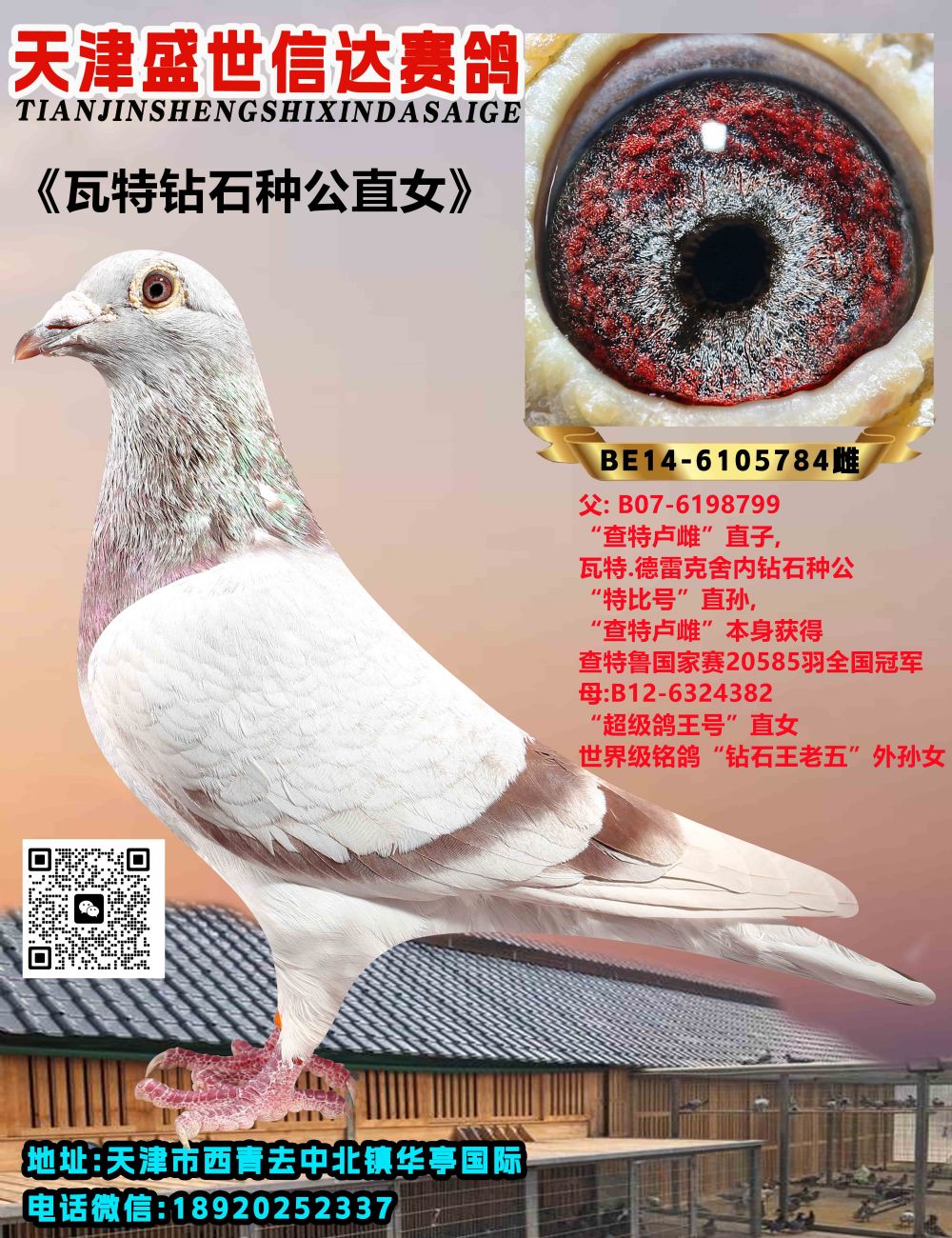 ԭᳬ