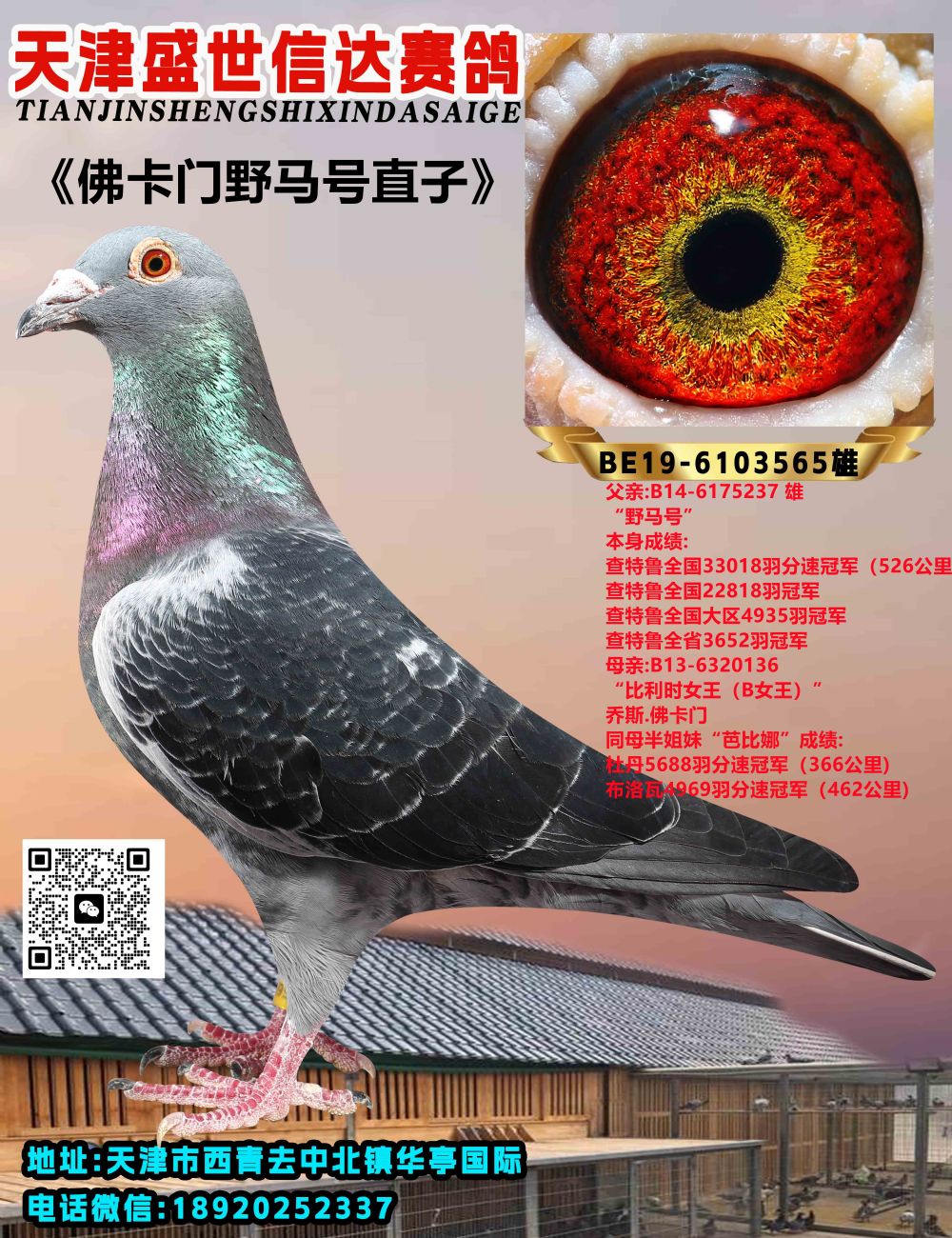 ҰRֱ̖Ů