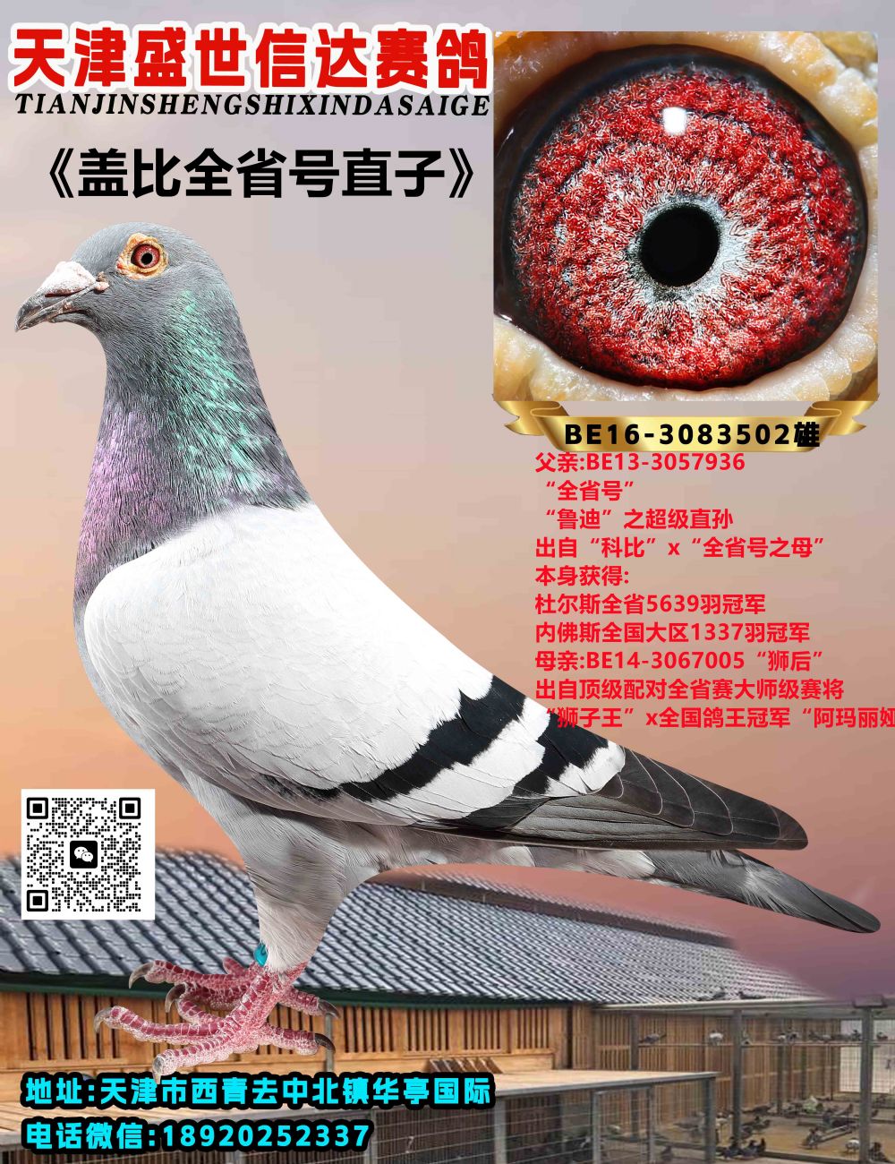 wȫʡֱ̖