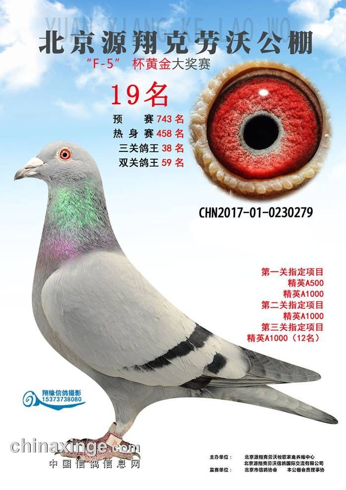 Դ˄֡19