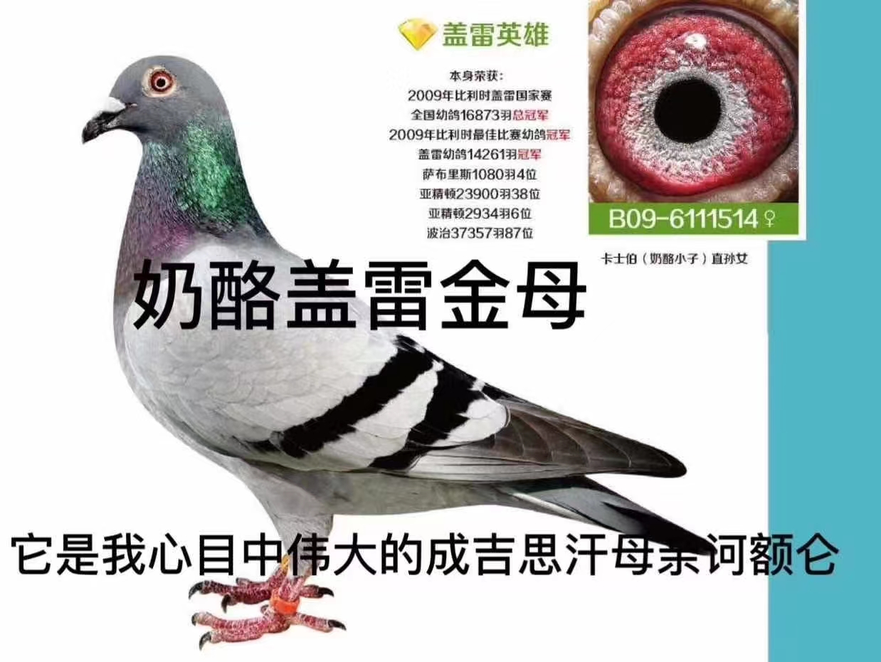 ҽķ