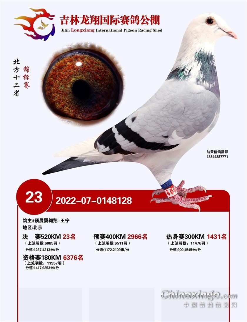 蹫23
