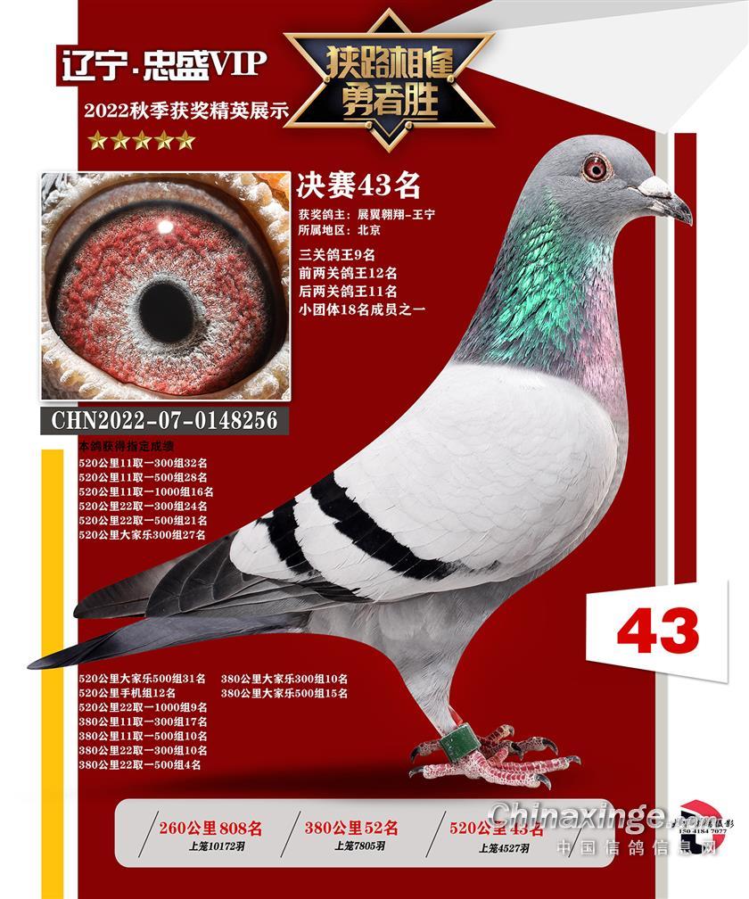 ʢ
