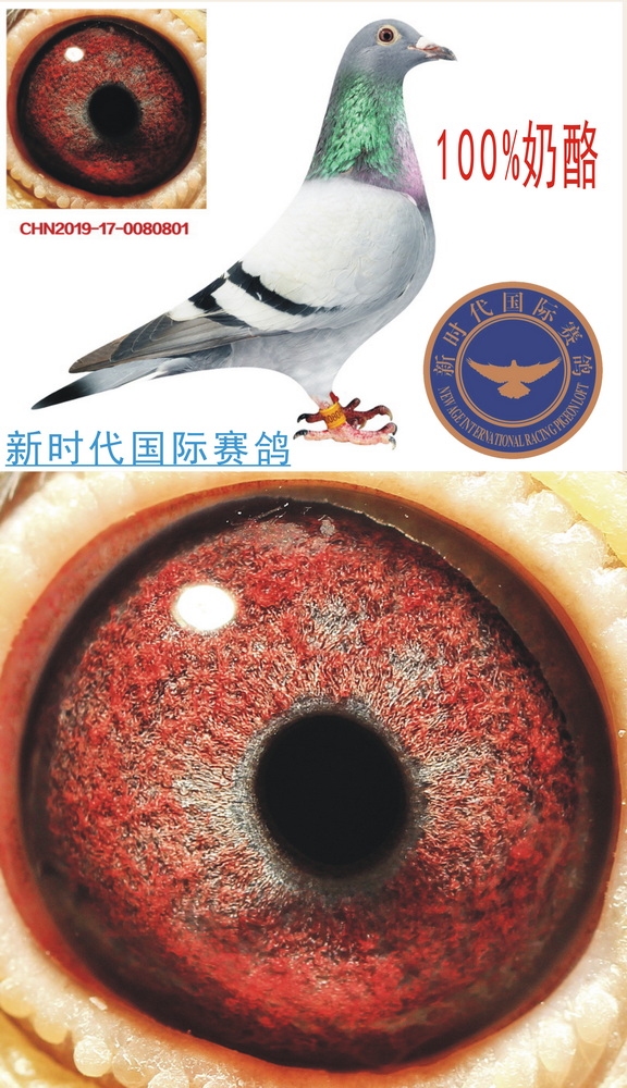 L(fng)䌦(du)605OŮ098H