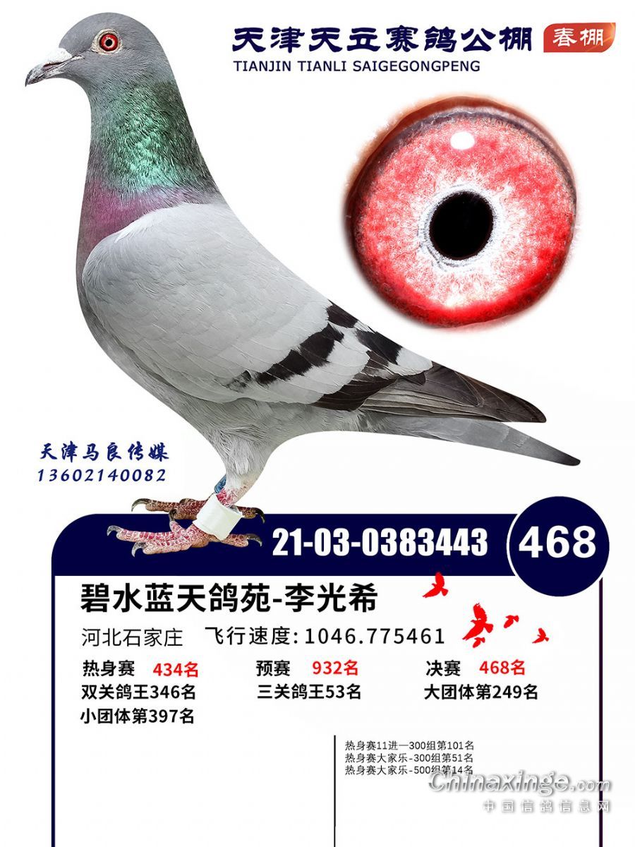 468D(zhun)׌