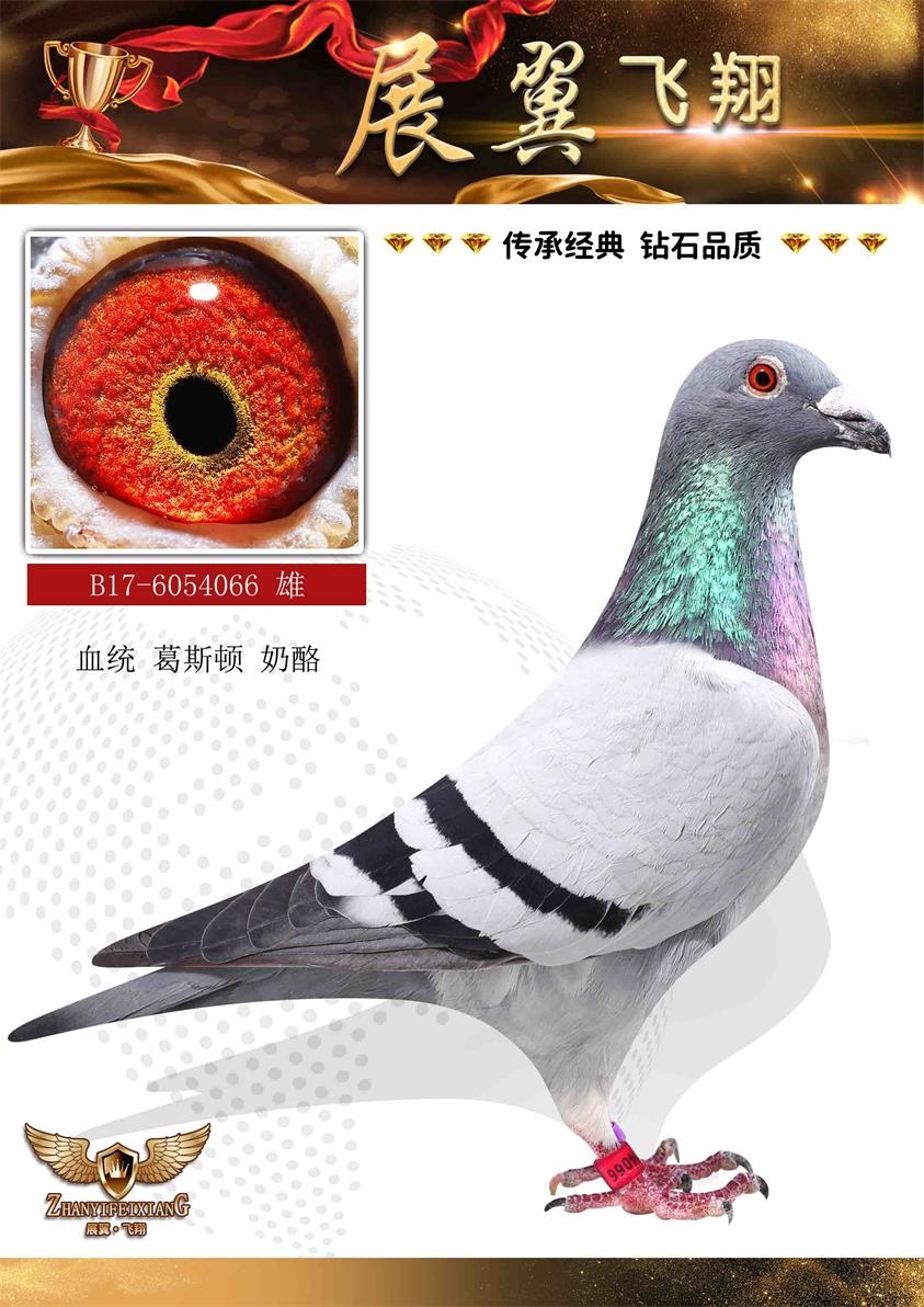 ˹D 