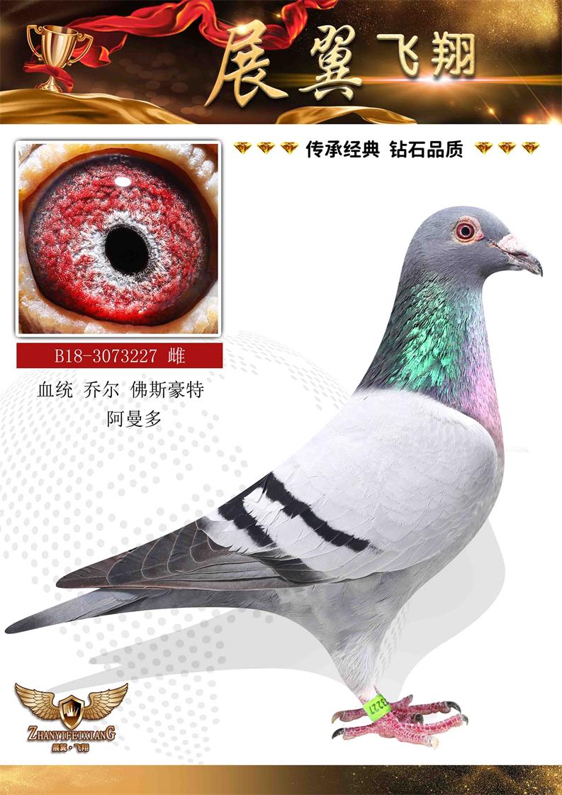 ̠ ˹  