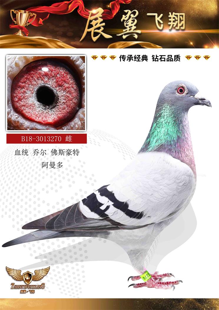̠ ˹  