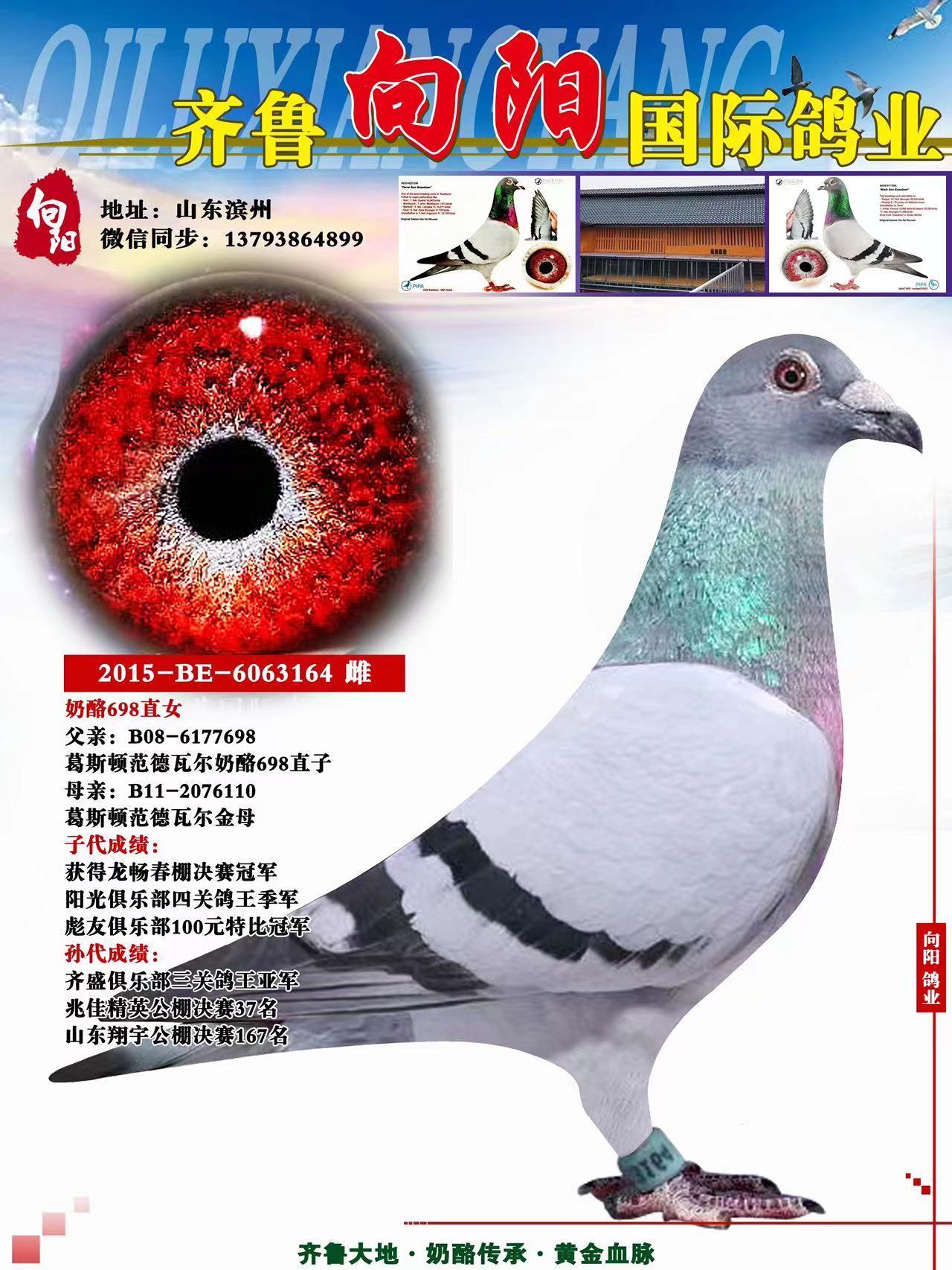 ˹D698ֱŮ