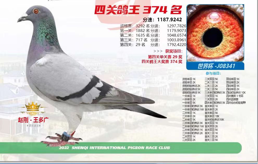 籭-J08341