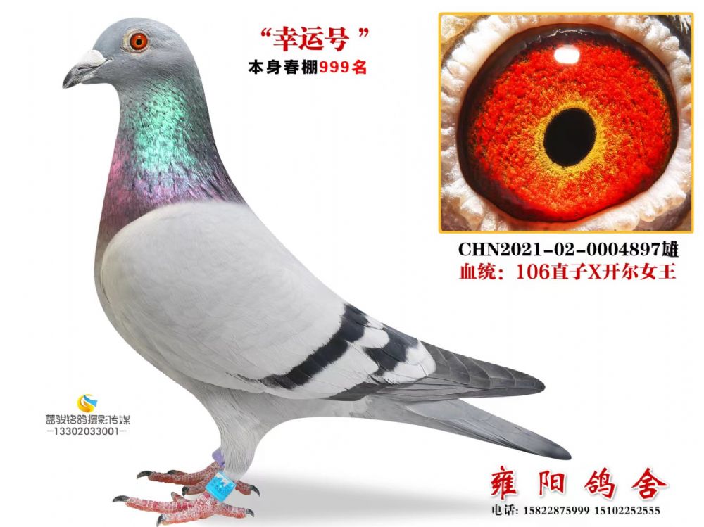 \(yn)̖(ho) _ֱ _(chung)12ͬC