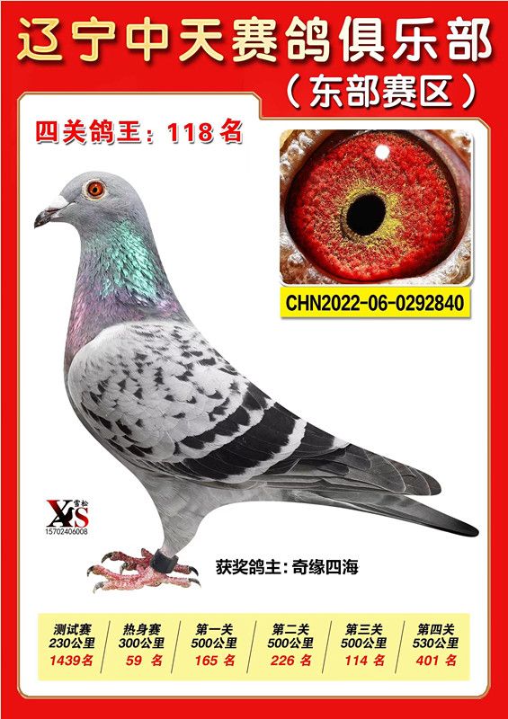 ΢ňDƬ_20221115224210