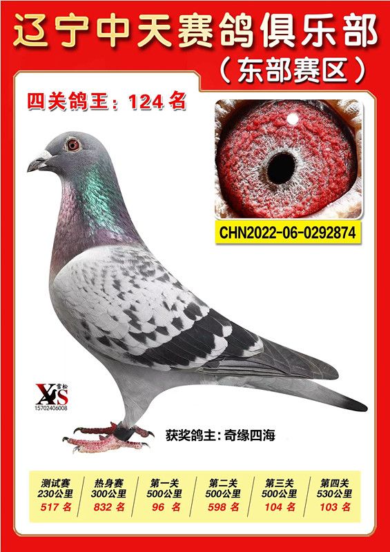 ΢ňDƬ_20221115224205