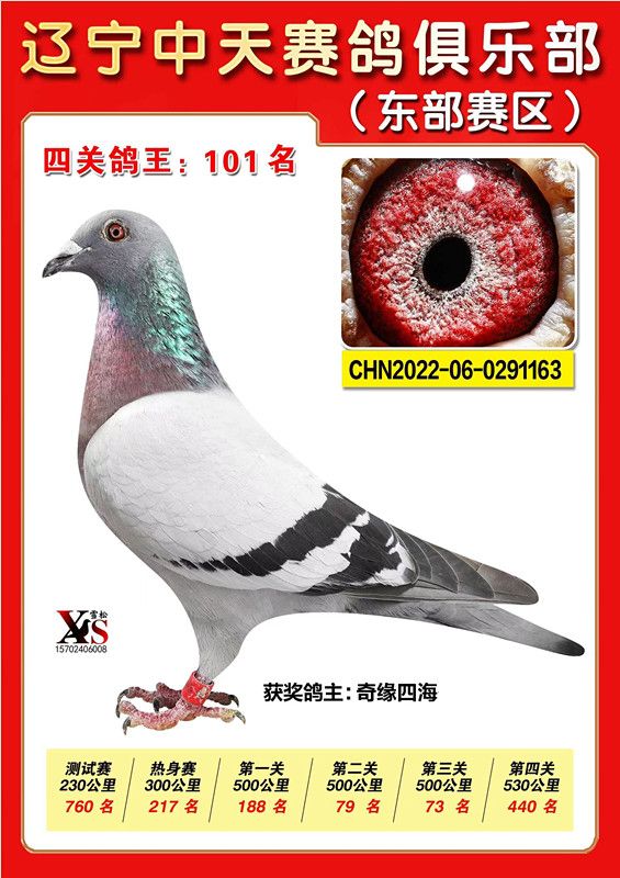 ΢ňDƬ_20221115224221