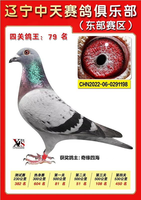 ΢ňDƬ_20221115224235