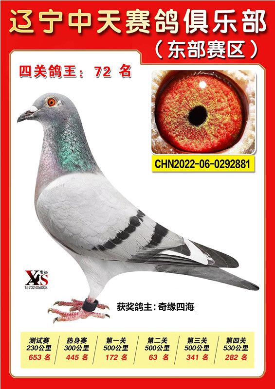 ΢ňDƬ_20221115224248