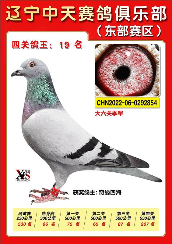 ΢ňDƬ_20221115224320