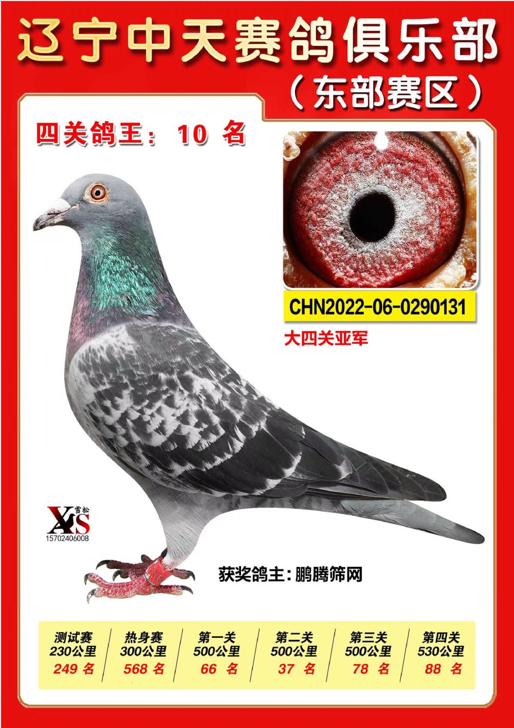 ΢ňDƬ_20221115224340