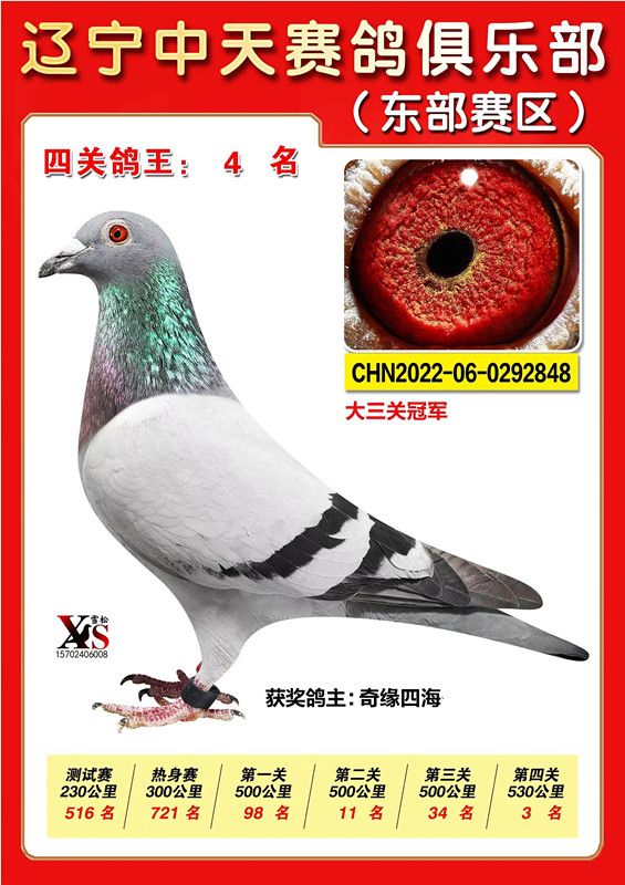 ΢ňDƬ_20221115224351