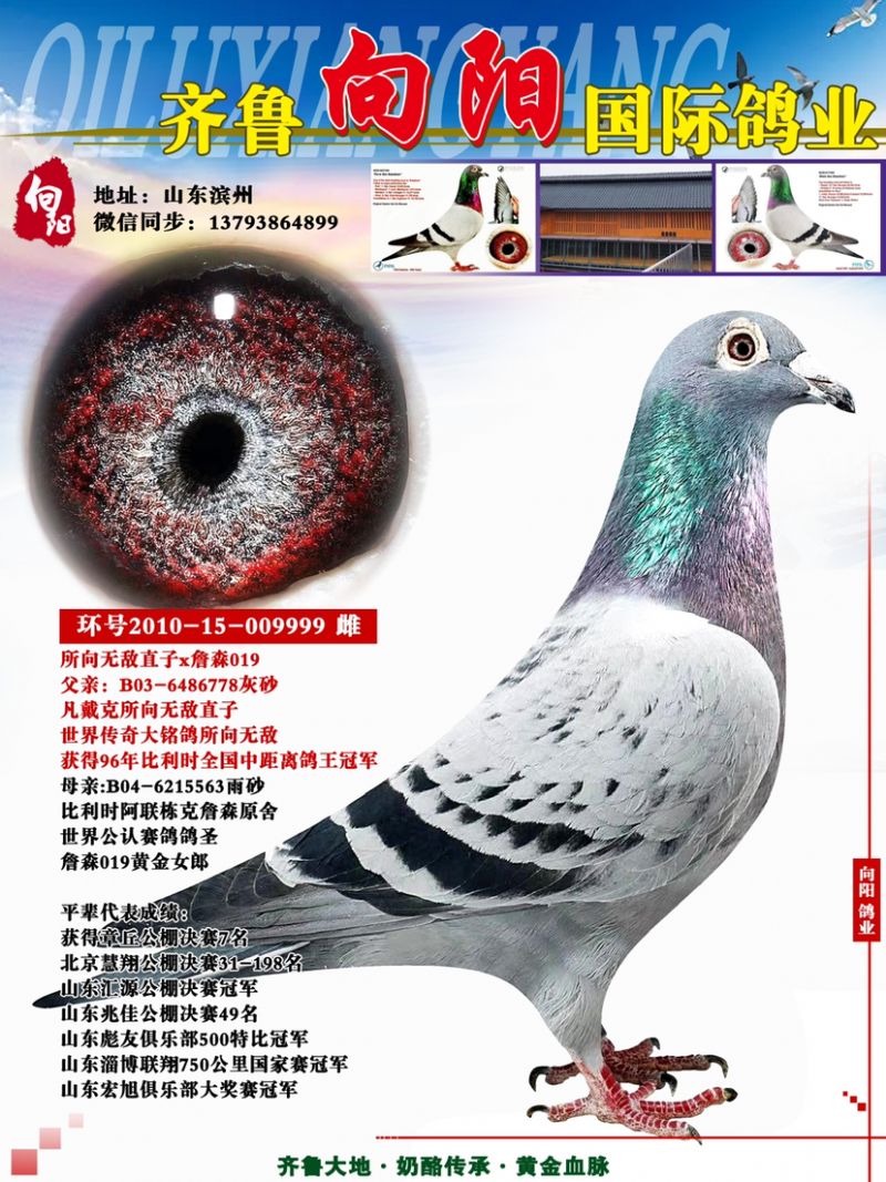 �����޵�ֱ��Ů