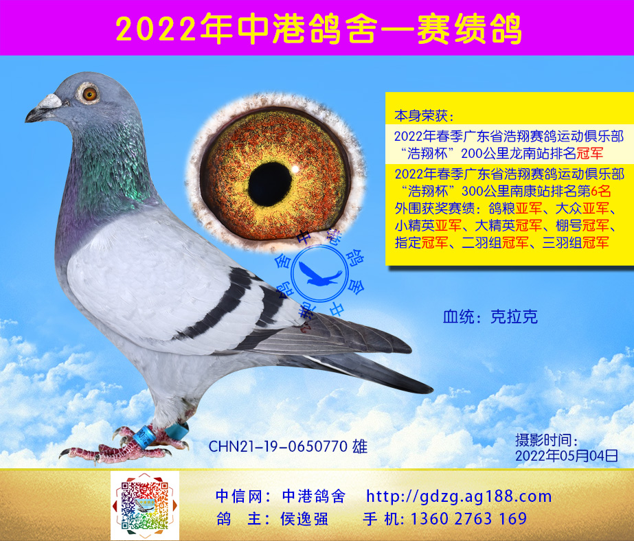 200ھ3006