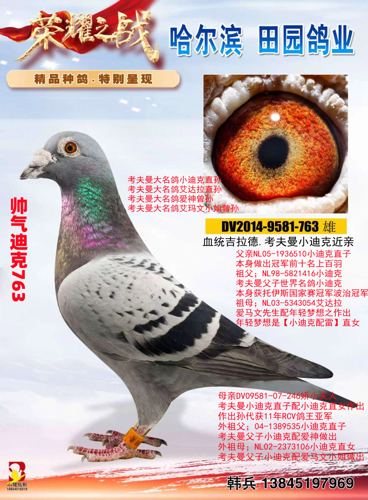 Ͽ763uƷHp