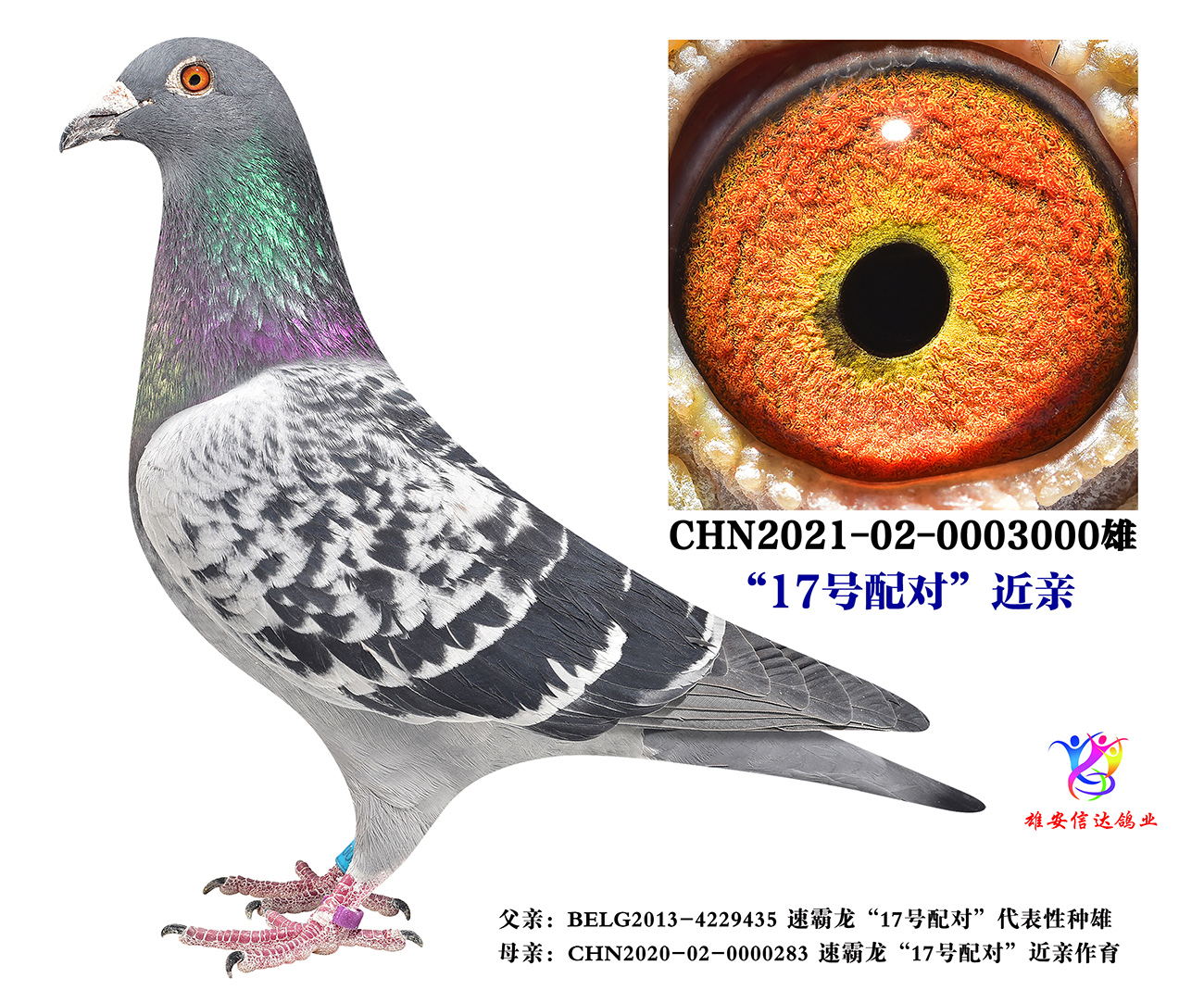 17̖䌦H