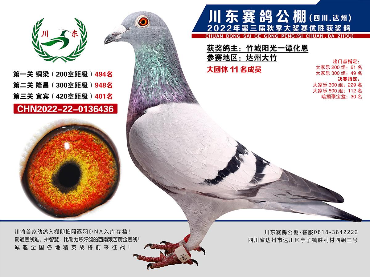 2022괨|401