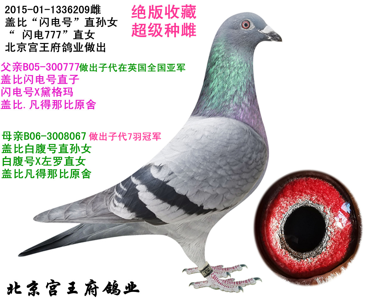 wW777ֱŮ