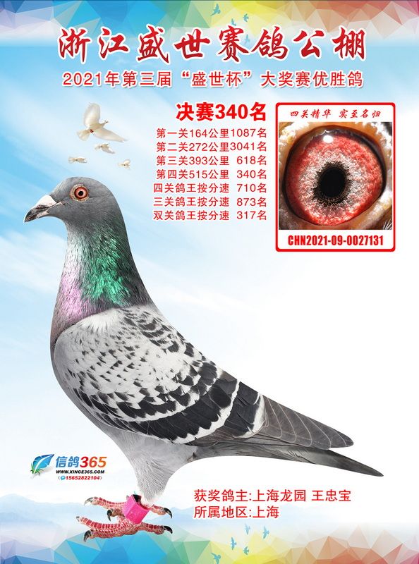 㽭ʢQِ340