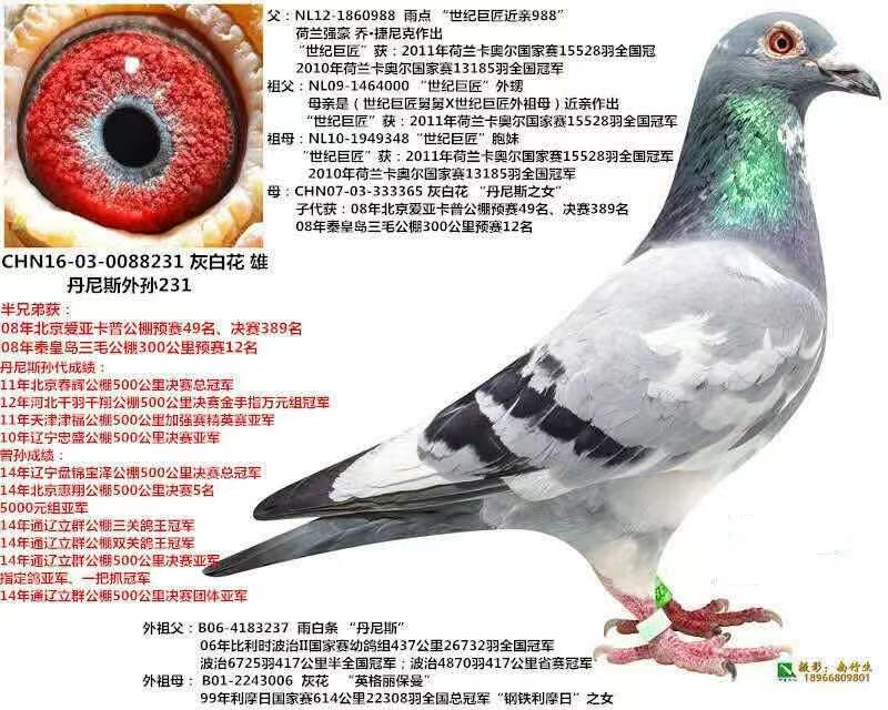 o(j)޽