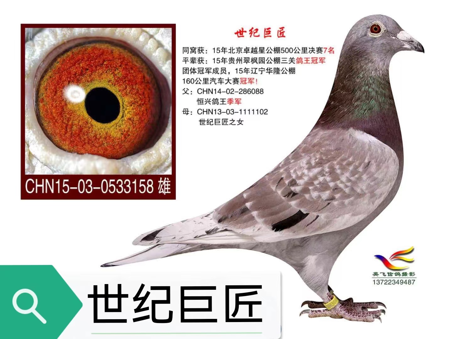o޽158