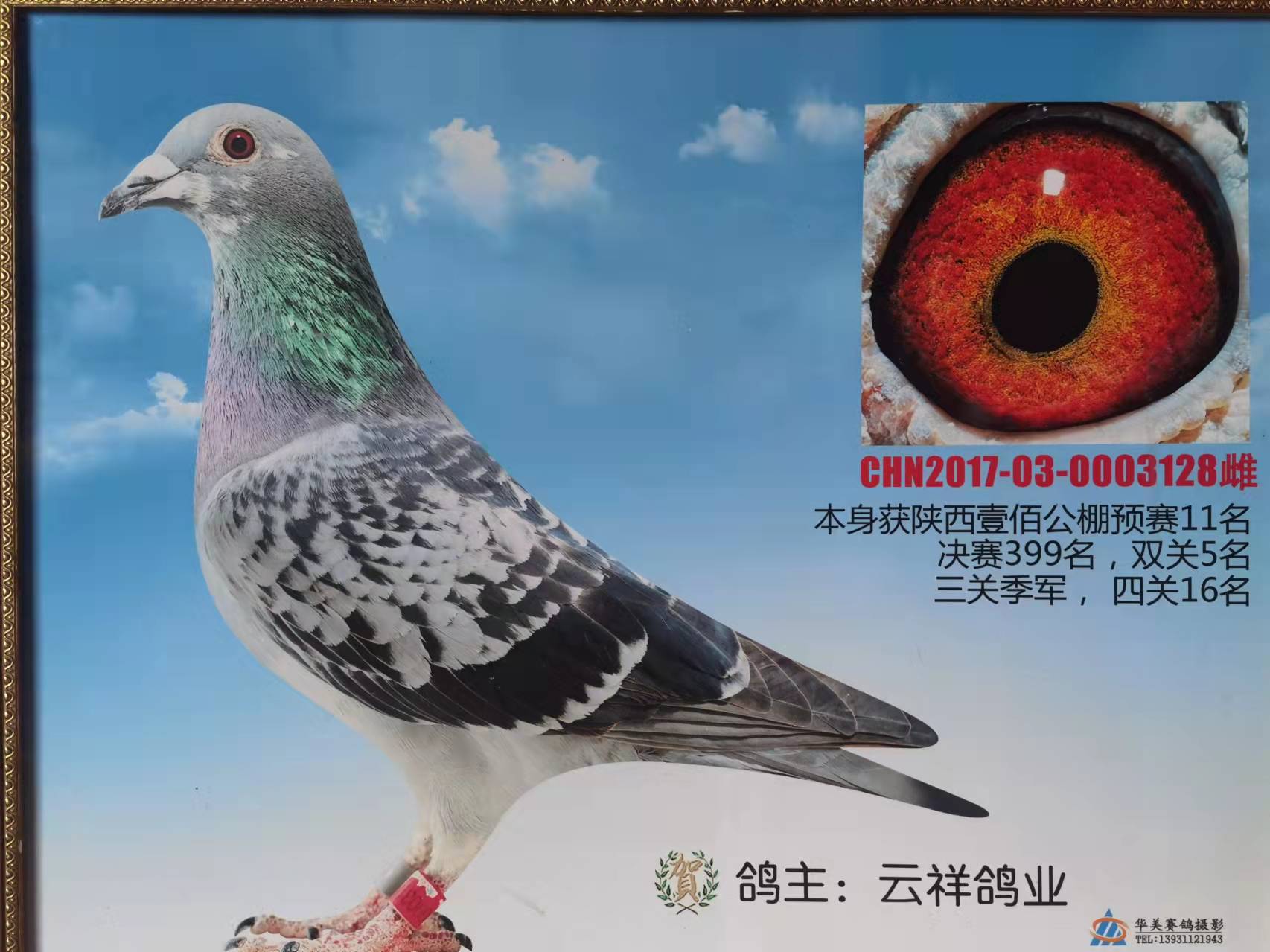 o(j)޽128
