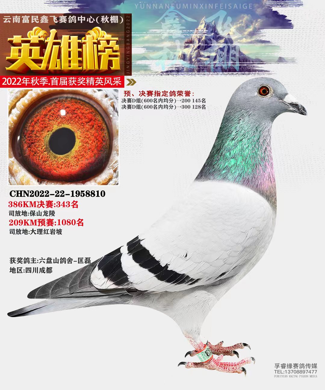 云南鑫飛決賽343