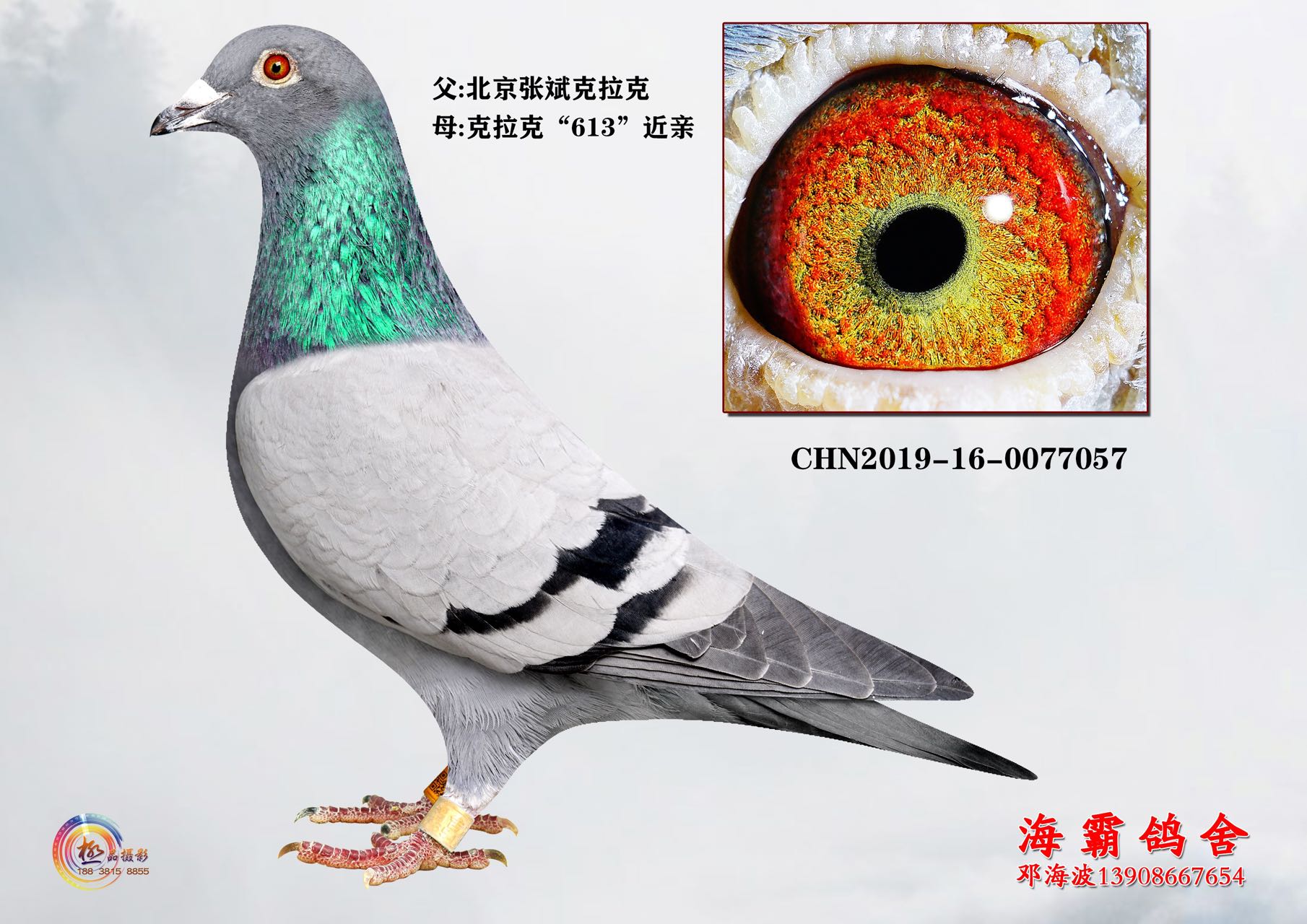 837HֱŮ