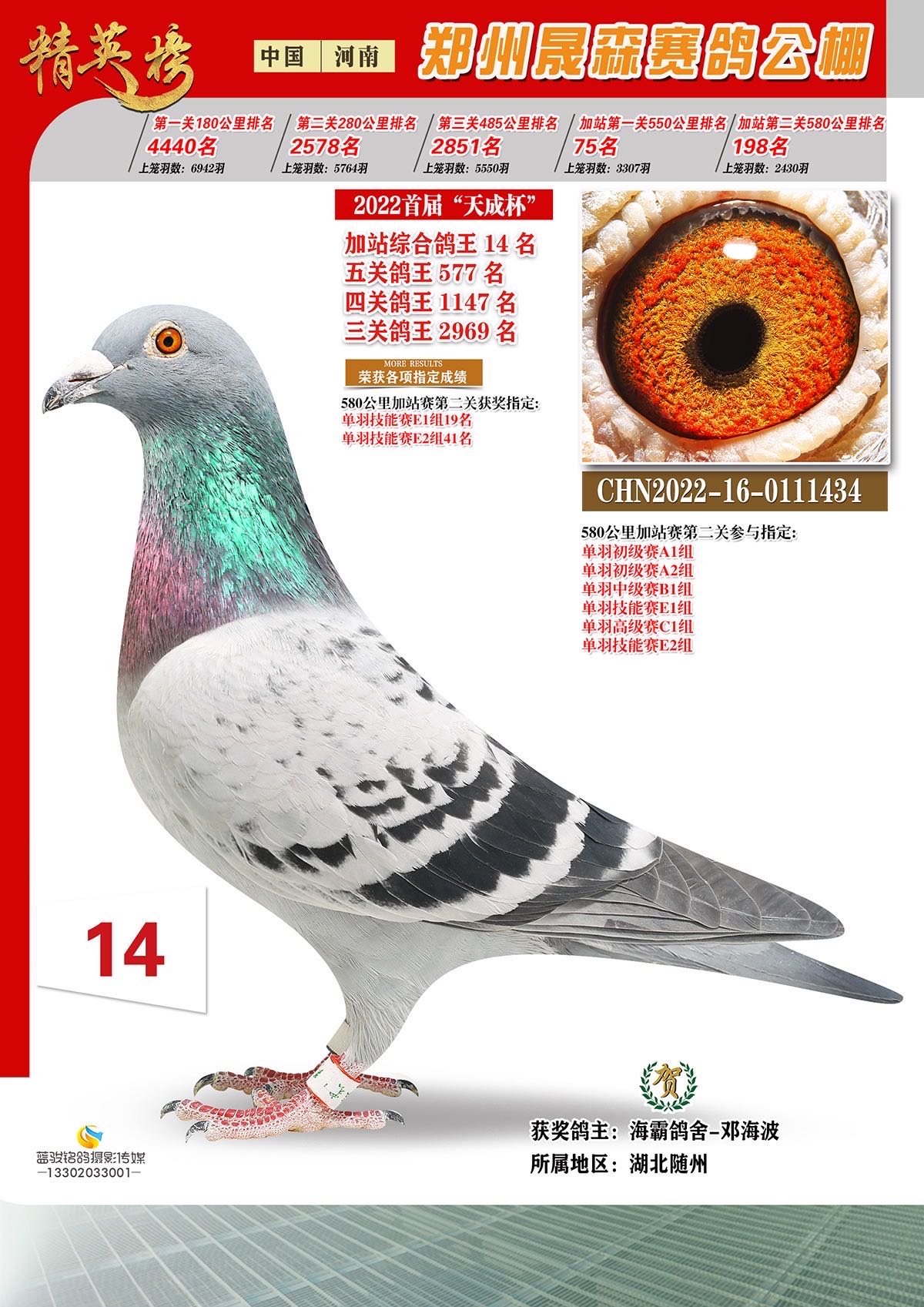xpP14