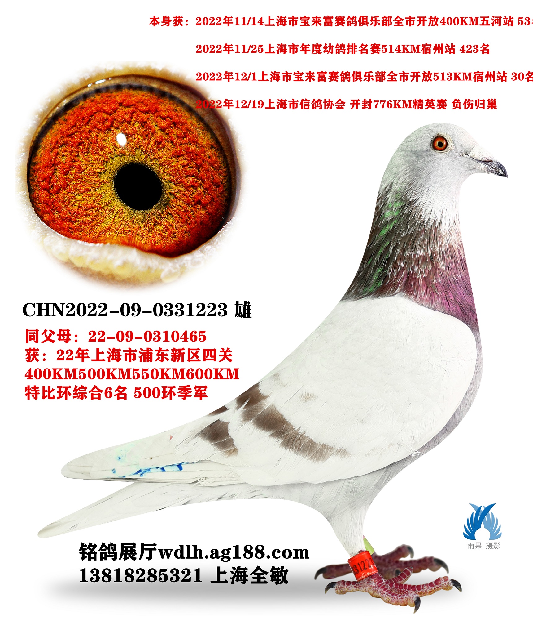 223D(zhun)