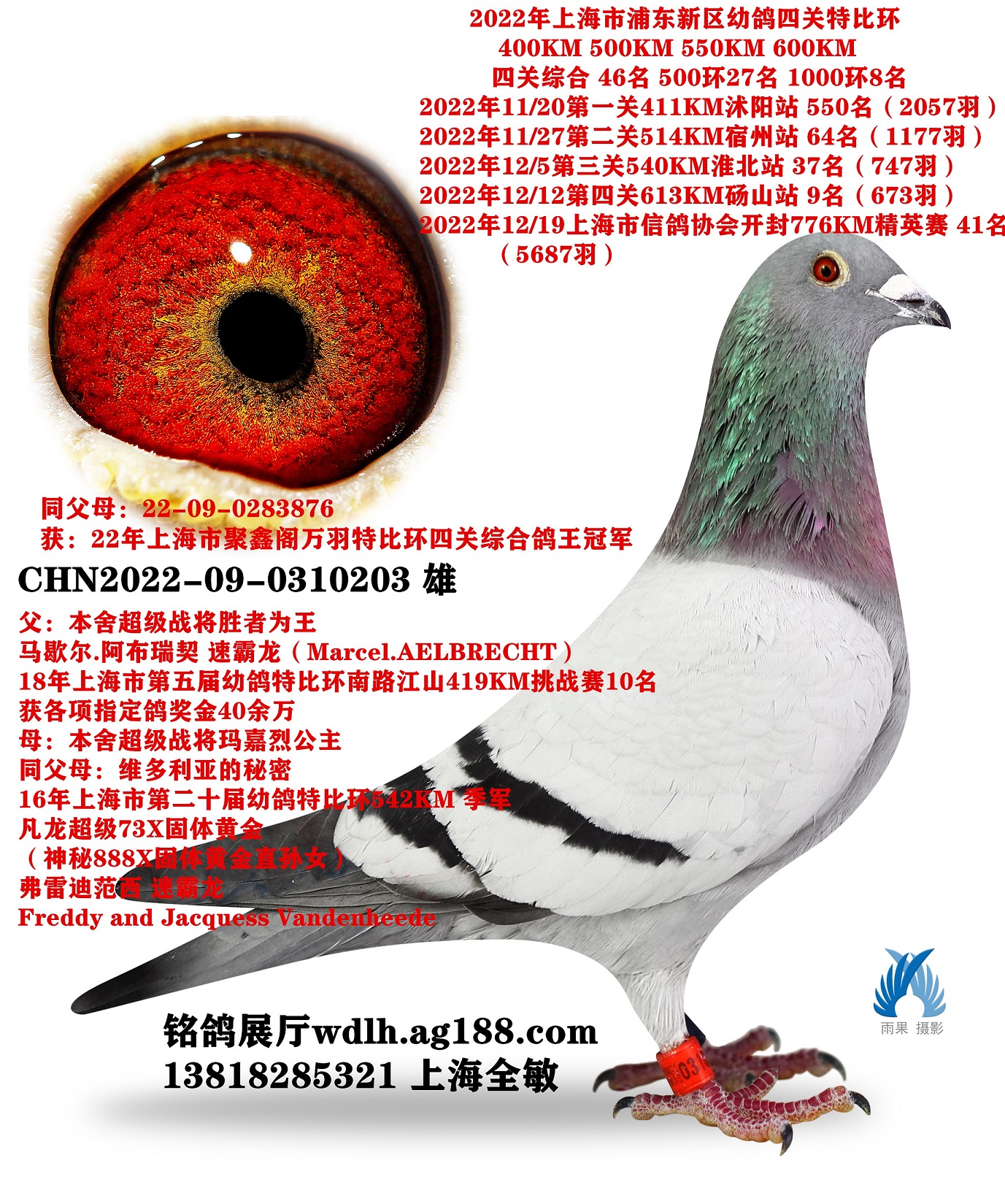 203  D(zhun)ղ