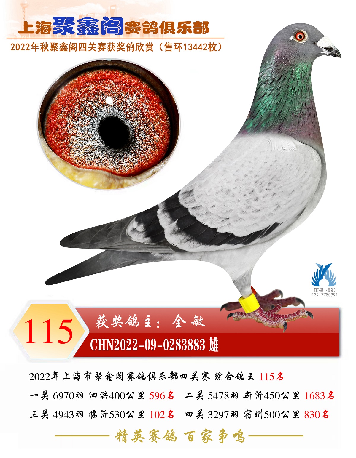 115D(zhun)