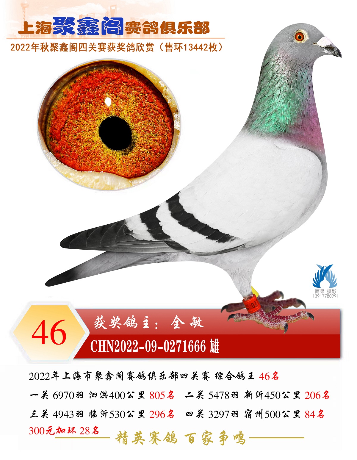 46D(zhun)