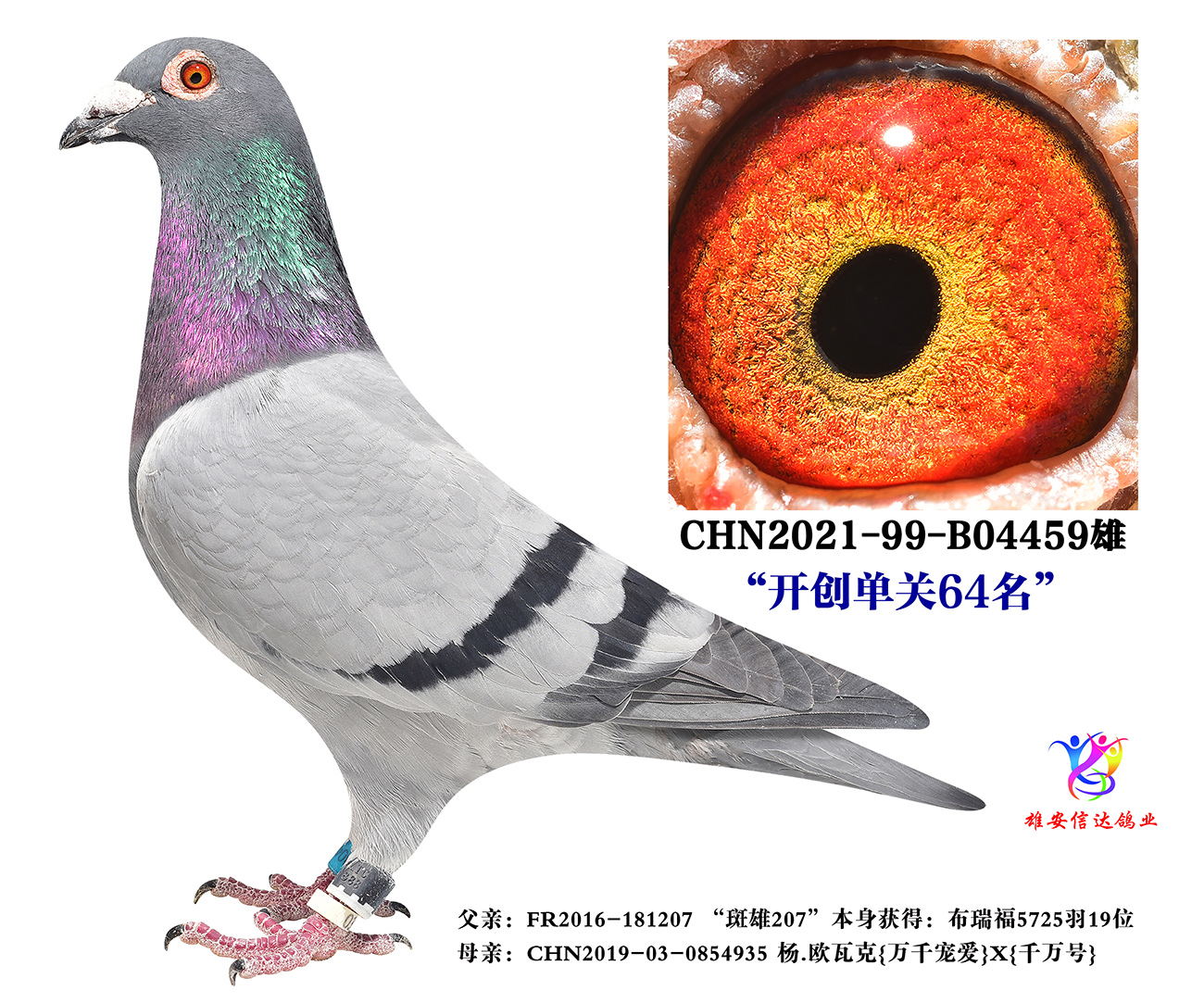 _(chung)P(gun)64