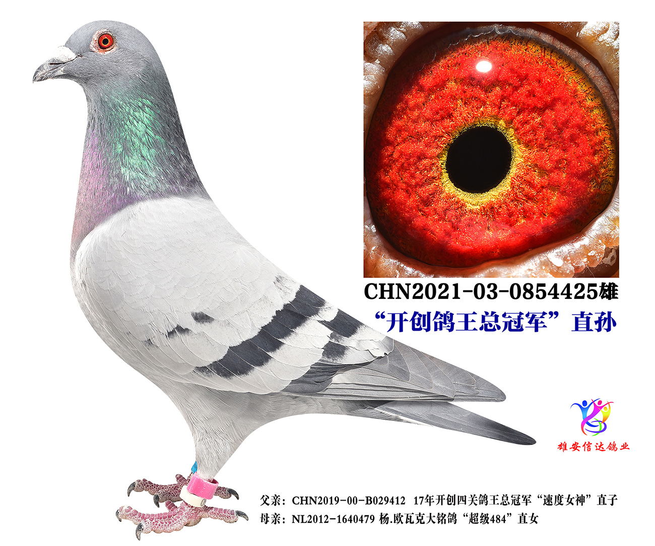 _(chung)܊ֱO