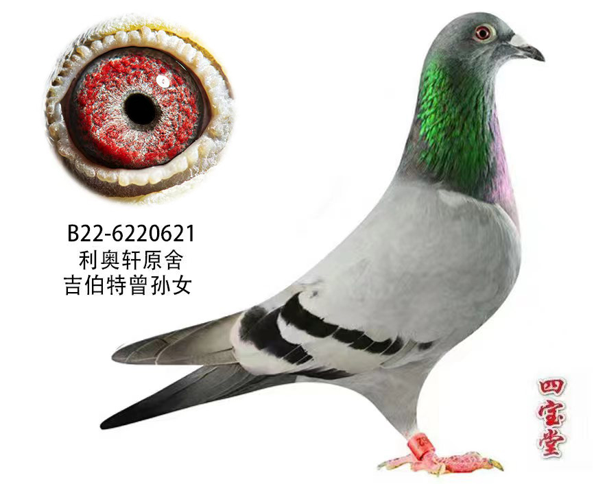 W܎ԭἪOŮ