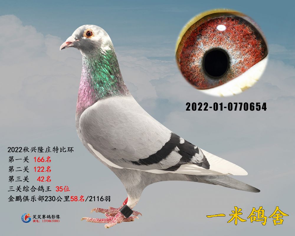 d¡f35λr(sh)911Ѫ.0770654
